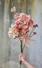 Indlæs billede til gallerivisning SPEEDTSBERG 204963 Hortensia
