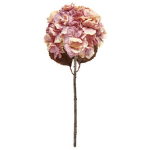 Indlæs billede til gallerivisning SPEEDTSBERG 235060 Hortensia
