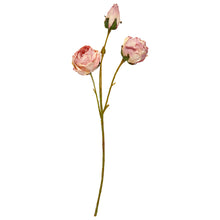 Indlæs billede til gallerivisning SPEEDTSBERG 235070 Rose
