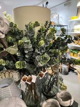 Indlæs billede til gallerivisning SPEEDTSBERG 183495 Eucalyptus
