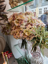 Indlæs billede til gallerivisning SPEEDTSBERG Hortensia Stilk 215069 Rose
