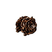 Indlæs billede til gallerivisning BLACK COLOUR Bcvilla Mega Flower Hairclaw Dark Leo
