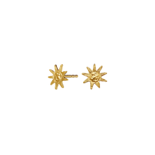 Indlæs billede til gallerivisning MAANESTEN June Earrings
