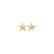 Indlæs billede til gallerivisning MAANESTEN Lana Earrings (guld/sølv)

