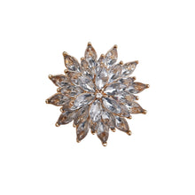 Indlæs billede til gallerivisning BLACK COLOUR Bcdaisy Brooch
